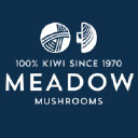 Meadow Mushrooms