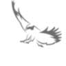 Merlinhawk Aerospace Pvt. Ltd.