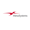 MetaSystems Group Inc