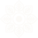 Creditsafe Business Index Report