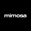 Mimosa