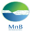 MnB Intelligence