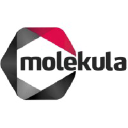 Molekula Group