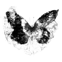 Monarch.tv