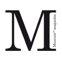 MUSEUM IDENTITY LIMITED