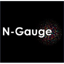 N-Gauge group