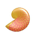 Nautilus Hearing Solutions