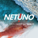 Netuno Usa Inc