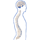 Neurosurgical Associates