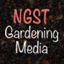 Ngst Media Group