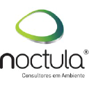 Noctula
