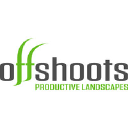 Offshoots, Inc