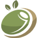 Olive First Management Consulting