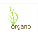 Organogenesis
