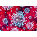 The Flexitallic Group