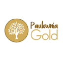 Paulownia Gold