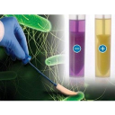 Paradigm Diagnostics, Inc.