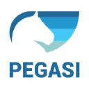 PEGASI International