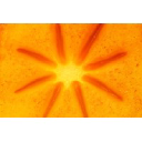 Persimmon AI