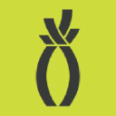 Pineapple Consulting Pvt. Ltd.