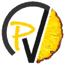 D'Pineapple Venturz Private Limited