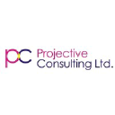 Projective Consulting Ltd.