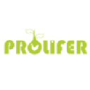 Prolifer Brand Consulting