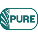 Pure Grain Network