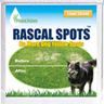 Natural Solutions, Inc