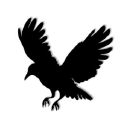Raven Technologies Ltd