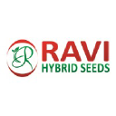 Ravi Hybrid Seeds