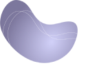 RADIANT DIGITEK NETWORK LIMITED