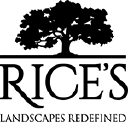 Rice's