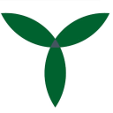 Global Surface Intelligence Ltd.