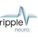 Ripple LLC