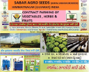 Sabar Agro Seeds