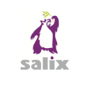 SALIX STAINLESS STEEL FABRICATIONS LIMITED