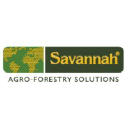 Savannah Global Solutions