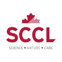 SCCL