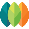 SEA Financial Group