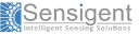 Sensigent LLC