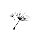 SetSeed