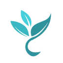 Spirent Communications