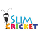 Slim Cricket