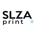 Bizmark