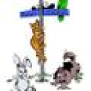 Southview Animal Hospital