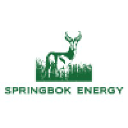 Springbok Energy
