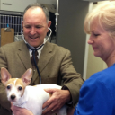 Springboro Veterinary Hospital