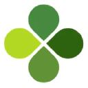 Springer Capital, LLC