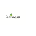Springwale Holidays